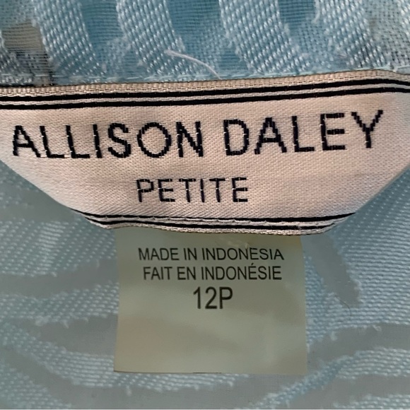 Vtg Y2K Icy Blue Semi Sheer Dainty Shirt Size 12P Button Up Blouse Allison Daley - Picture 6 of 8
